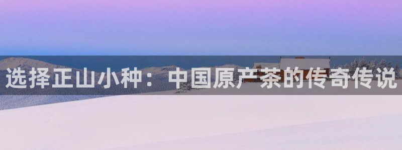 金年会平台是什么