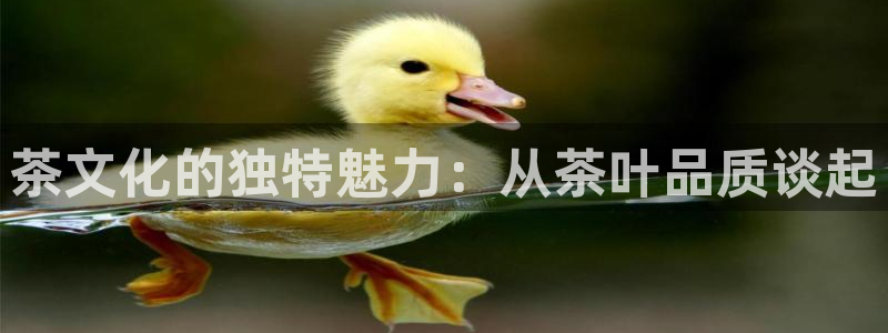 金年会登录入口