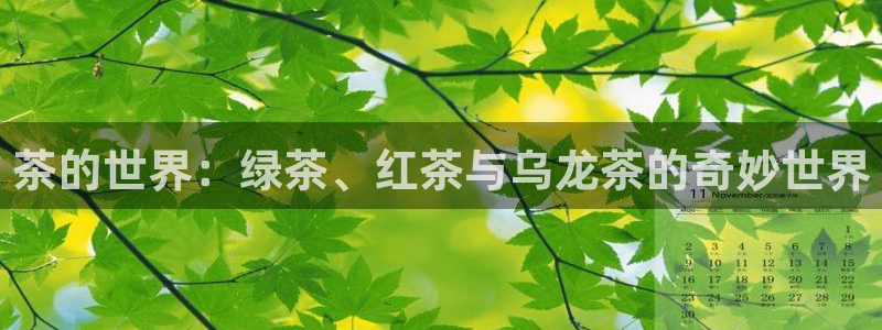 金年会体育官方下载