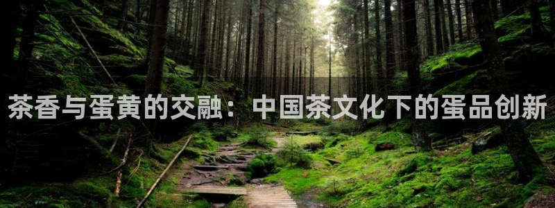 金年会软件之家下载