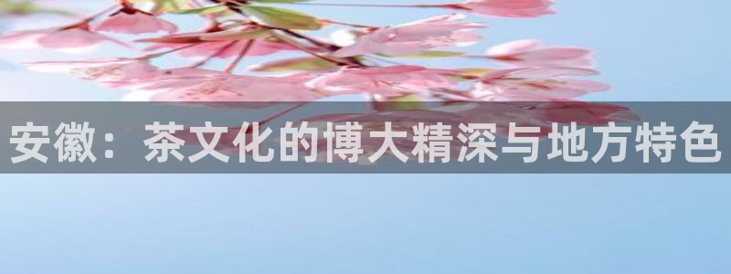 金年会平台游戏