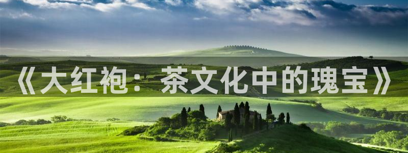 金年会在线下载