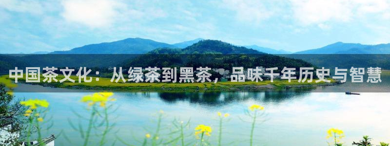 金年会金字招牌信誉至上