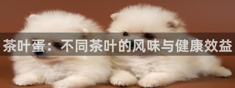 金年会登录入口