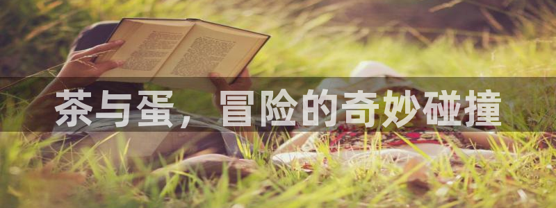 金年会官方网站下载