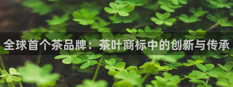 金年会网页登录