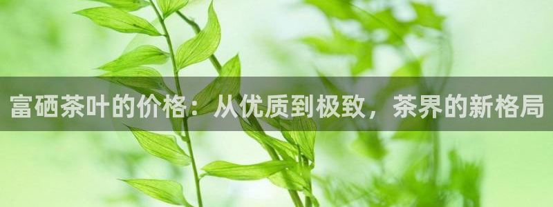 金年会体育在线登录