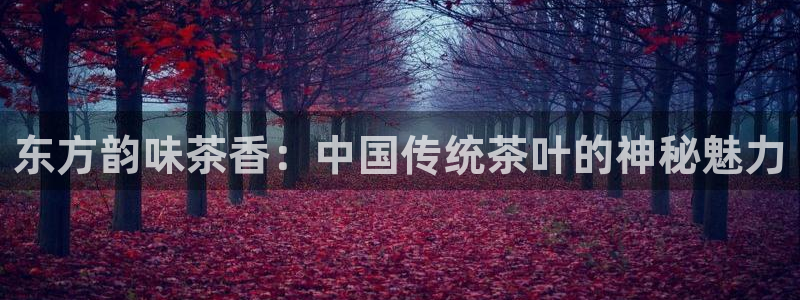 今年会送彩金28