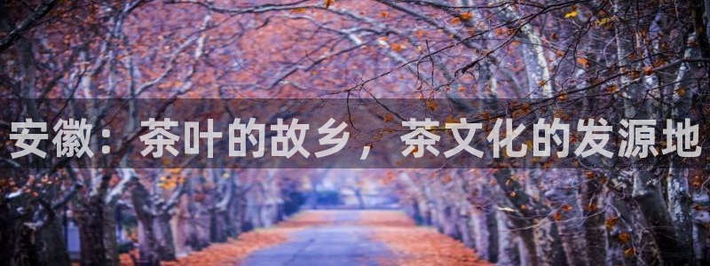 金年会最新下载