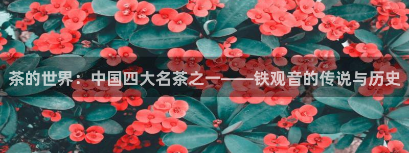 金年会金字招牌