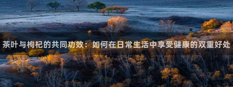 金年会赞助西甲