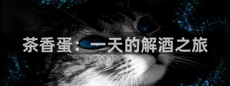 金年会6766澳门联合