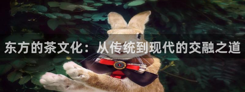 金年会官方网站登录