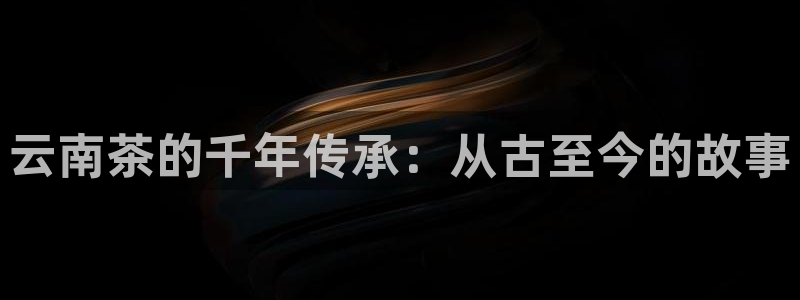 金年会网登录平台入口