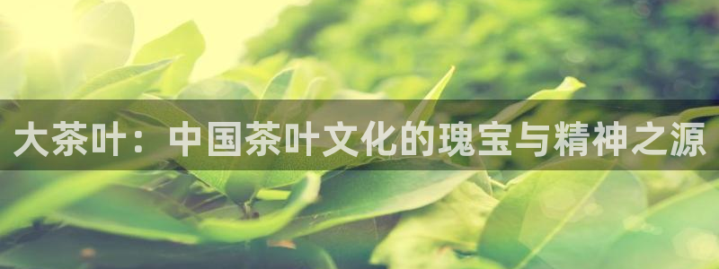 金年会体育在线入口