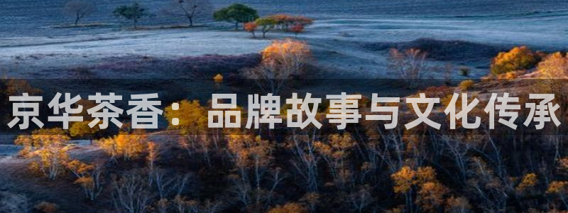 金年会官方网站登录